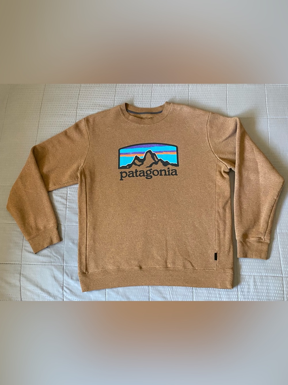 Patagonia Crewneck Sweatshirt with Multicolor Mountain Logo - Brown Regular Fit